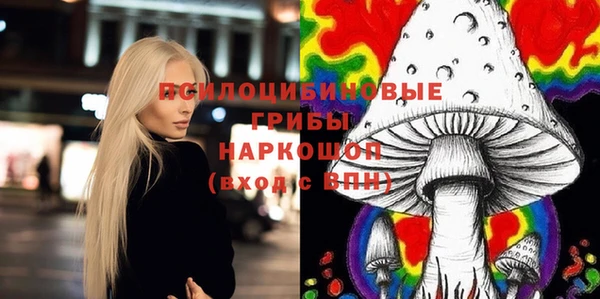 мдпв Арсеньев