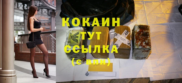 крисы Аркадак
