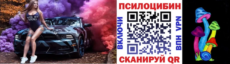 Галлюциногенные грибы Cubensis Балтийск