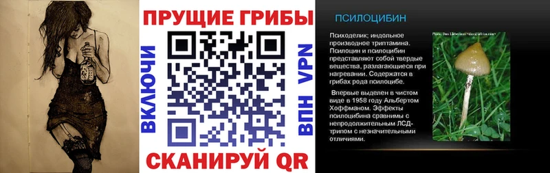 Галлюциногенные грибы мицелий магазин продажи наркотиков Балтийск